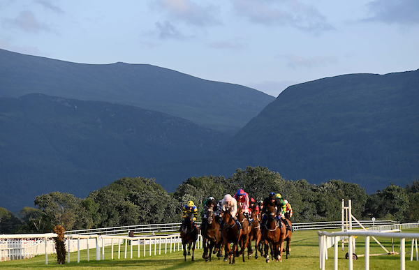 Killarney Races 2025: It’s Time to Plan Your Visit