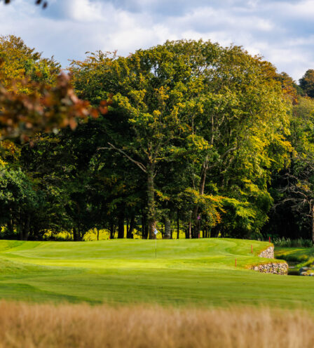 Scenic view of lush green golf course surrounded by trees under a blue sky at Scotts Hotel Killarney.