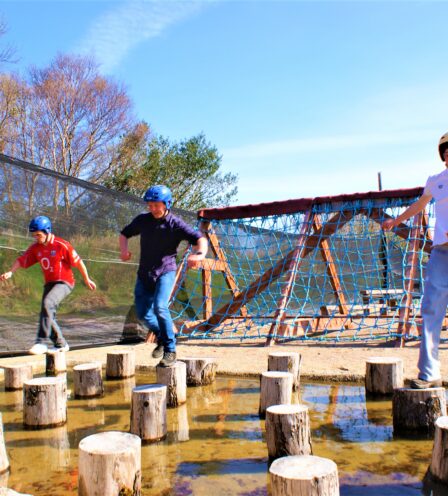 Three people in helmets navigate a fun outdoor obstacle course, balancing on wooden stumps beside a netted wall amidst a sunny, scenic backdrop.