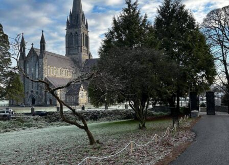 Scenic view of St Mary's Cathedral near Scotts Hotel Killarney, with a frosty path and trees.