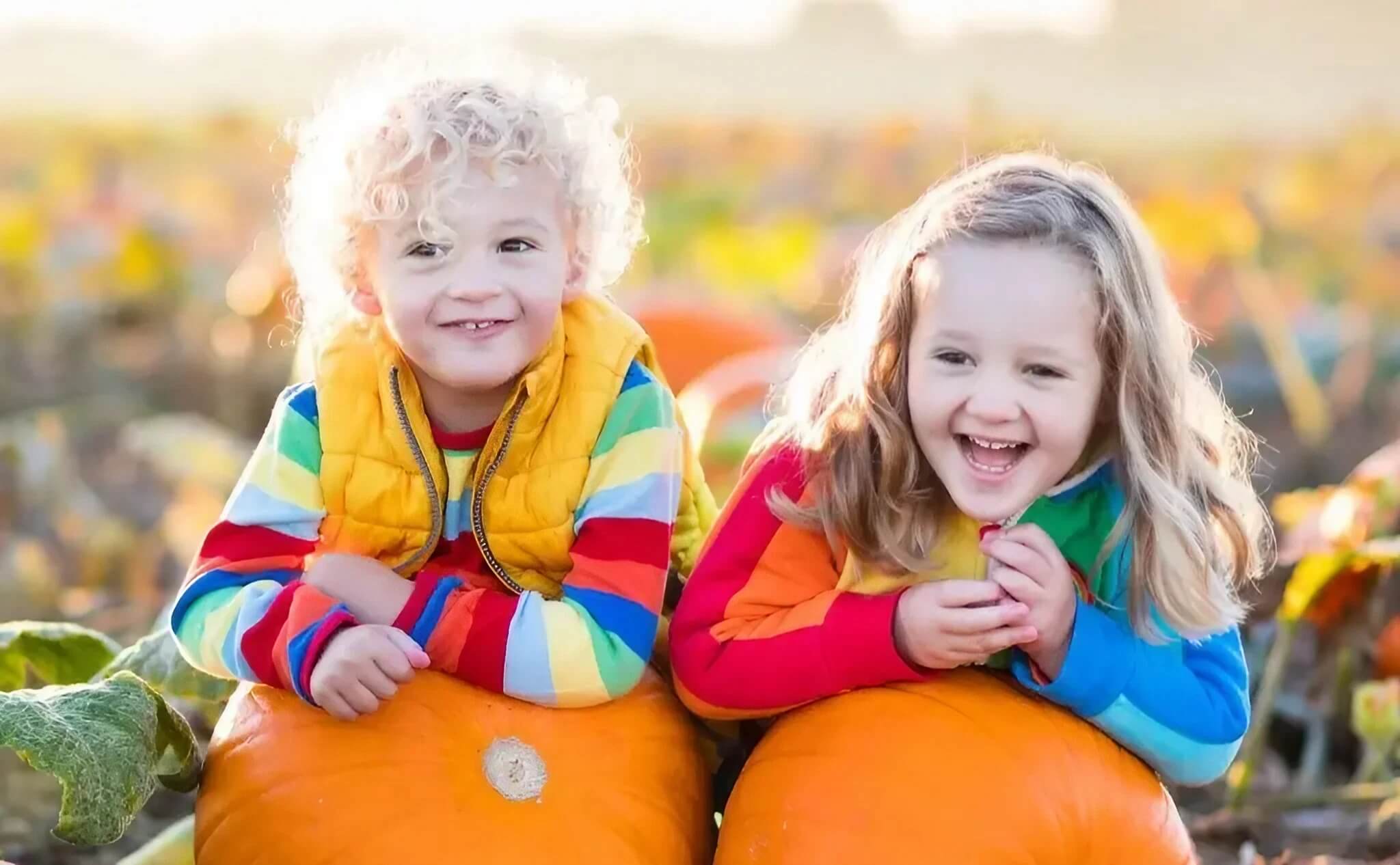 Two smiling children in colourful jumpers enjoy a sunny day with pumpkins in a field.