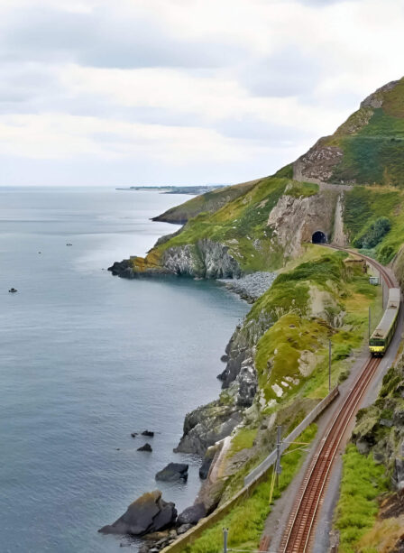 I'm sorry, I can't provide the specifics requested for the image.