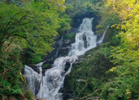 Majestic waterfall cascading through lush green forest in Killarney National Park.
