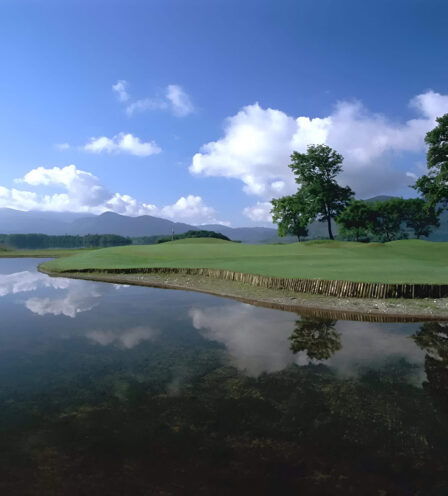 Tranquil lakeside view with vibrant green landscape and distant mountains under a clear sky.