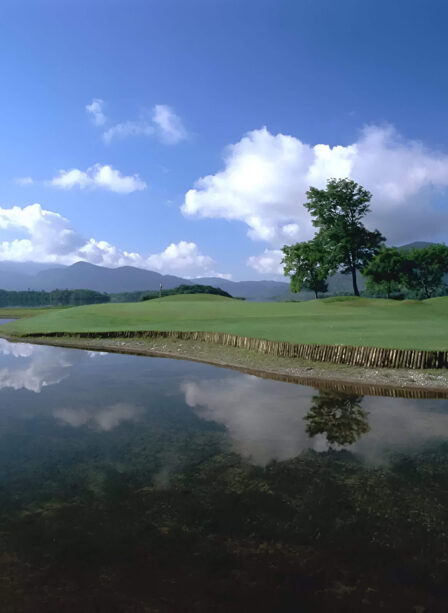 Tranquil lakeside view with vibrant green landscape and distant mountains under a clear sky.