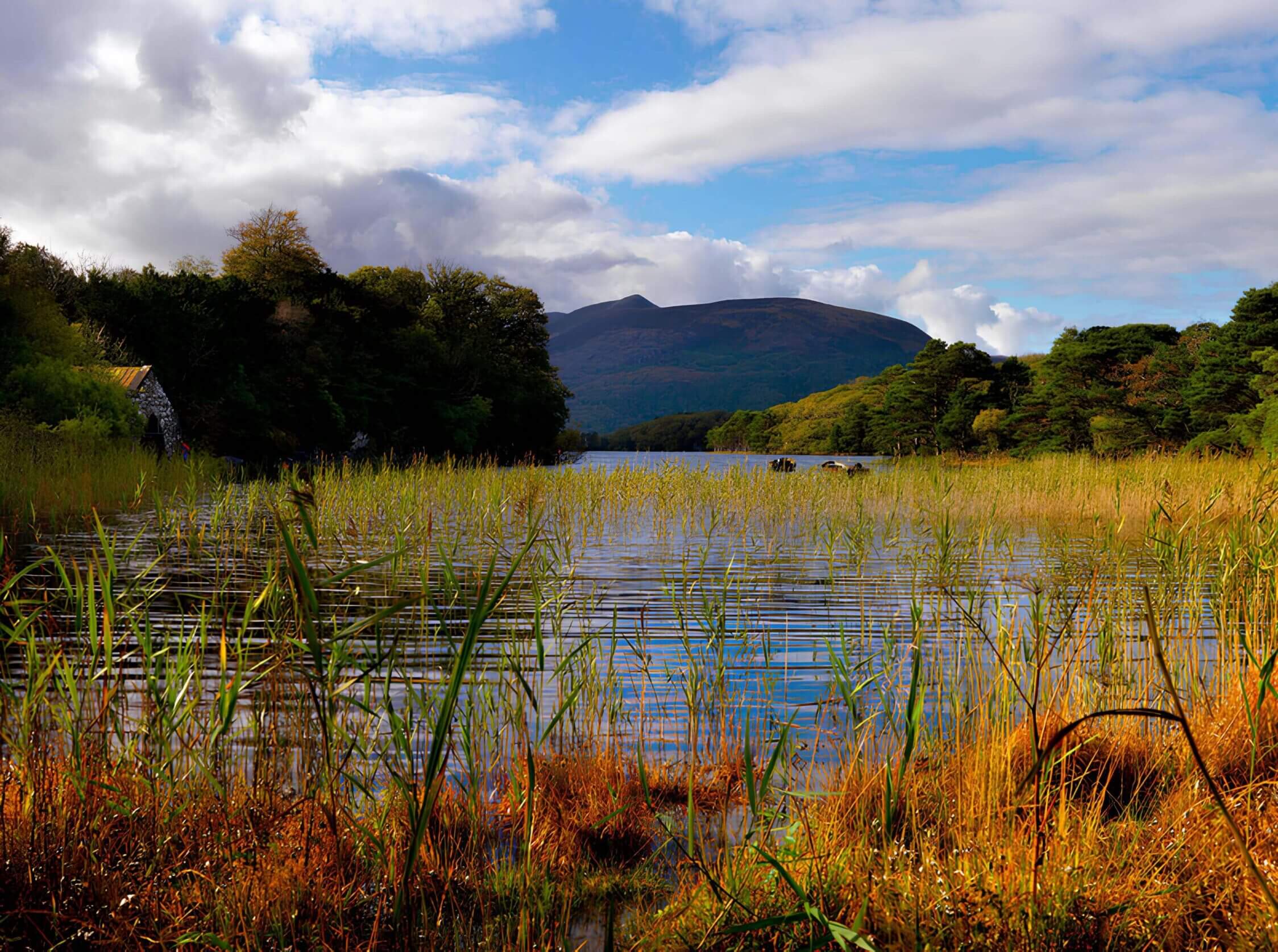 Serene lake with lush greenery and distant mountains near Scotts Hotel, Killarney.