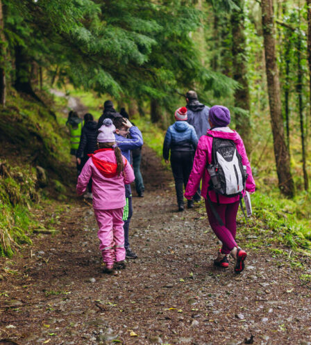 A group of hikers explore a lush, green forest trail near Scotts Hotel Killarney.