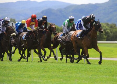 Jockeys racing on horseback in scenic countryside.
