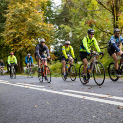 Sidebar-Upcoming Events in Killarney Summer 2026 | Scotts Hotel Killarney