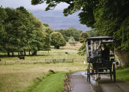 Horse-drawn carriage on scenic country road near Scotts Hotel, Killarney.