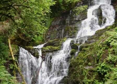 Torc Waterfall in Killarney National Park