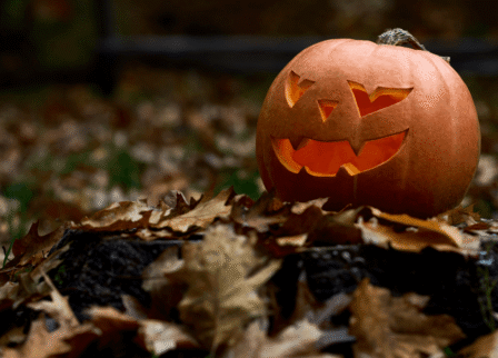 Autumn leaves surround a carved Halloween pumpkin glowing warmly outdoors.
