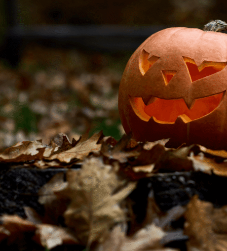 Autumn leaves surround a carved Halloween pumpkin glowing warmly outdoors.