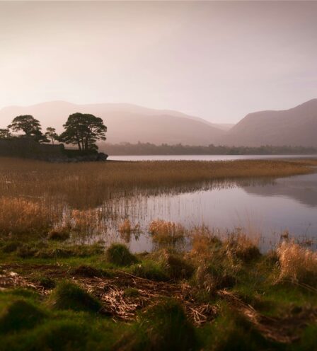 Serene Lakeside View Near Scotts Hotel Killarney at Sunset