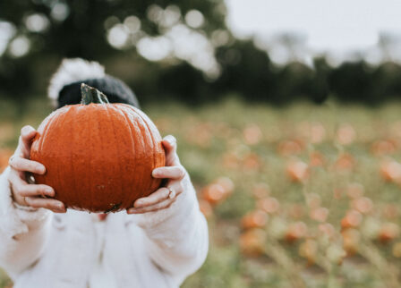 Person in cosy white jumper holds a large orange pumpkin in a lush field.