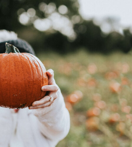 Person in cosy white jumper holds a large orange pumpkin in a lush field.
