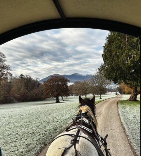 Guests enjoy a cosy horse-drawn carriage ride along a frosty tree-lined avenue with distant mountains